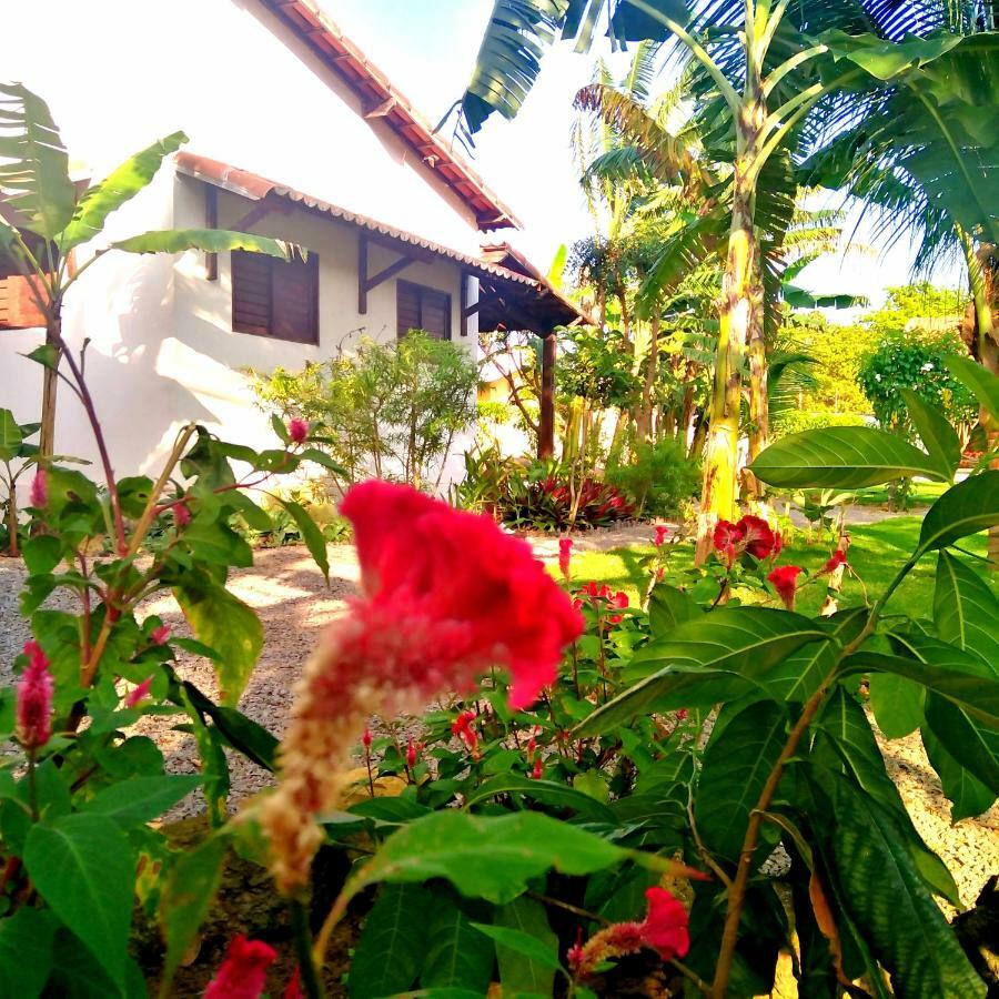Tropicana Village São Miguel do Gostoso Exterior photo